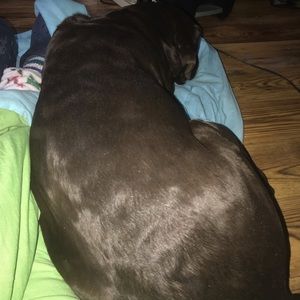 Meet your Posher, Catherine